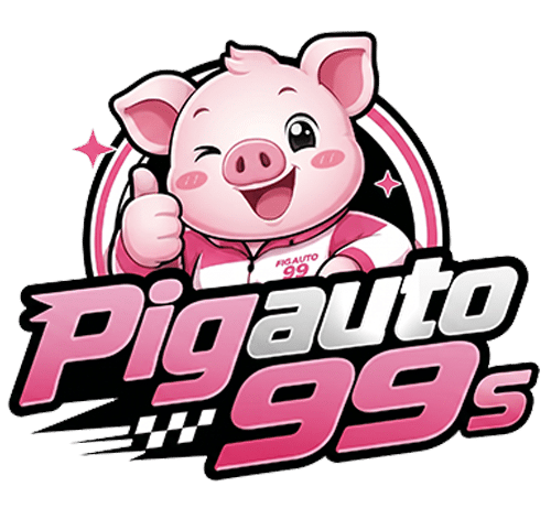 pigauto99